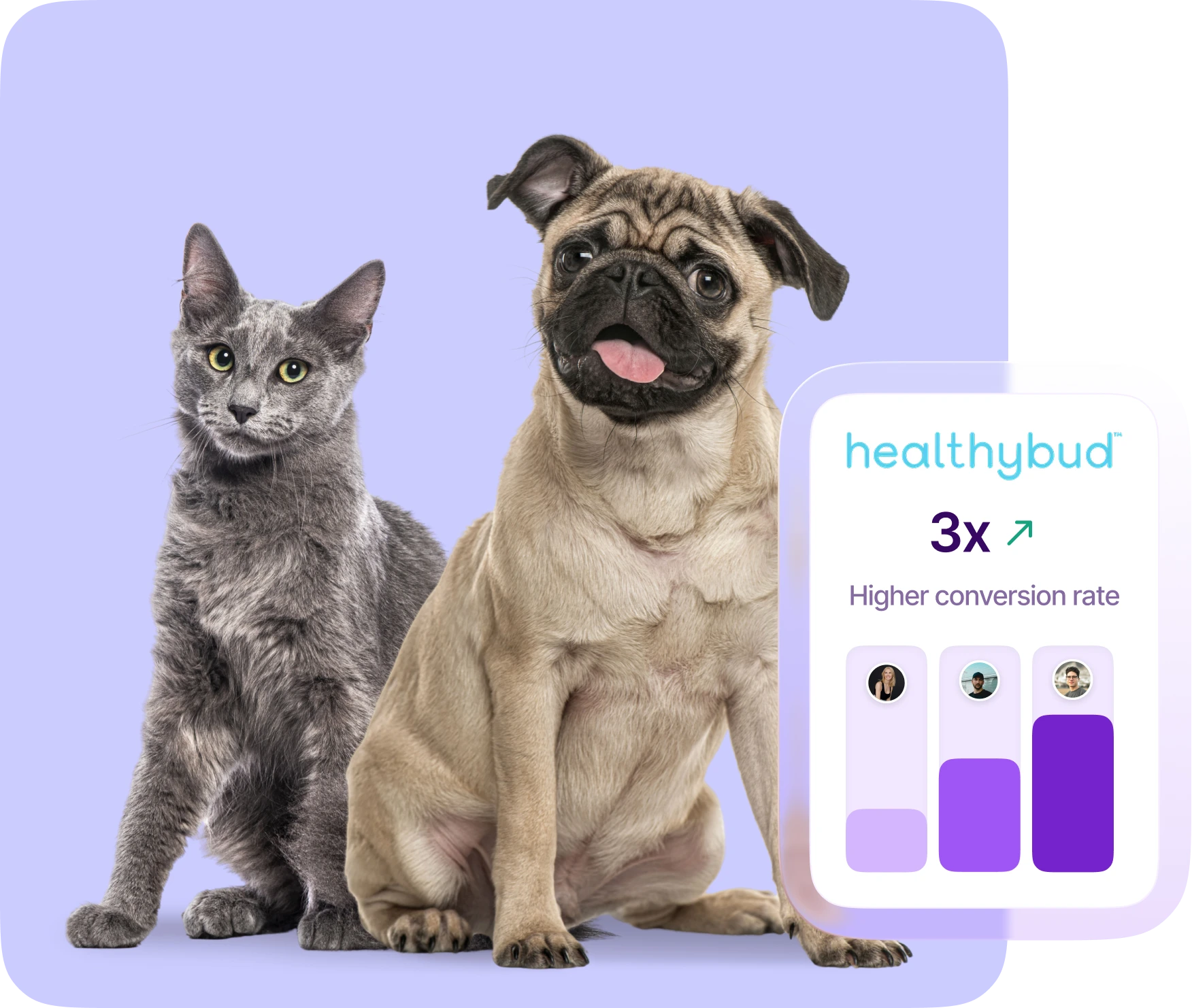 Soins animaux integration